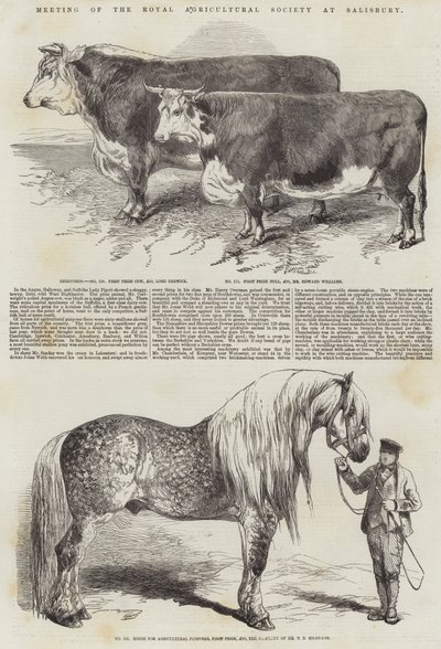 ソールズベリーでの王立農業協会の会合 作： Harrison William Weir